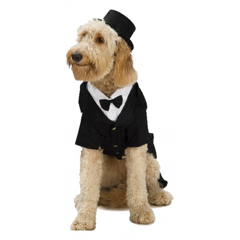 Top Hat Pet Halloween