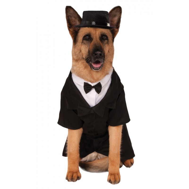 Dapper Dog Big Dog Pet Costume Halloween