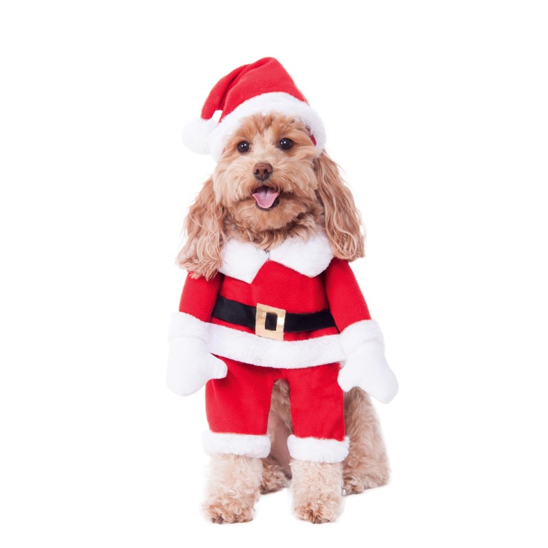 Walking Santa Deluxe Pet Costume