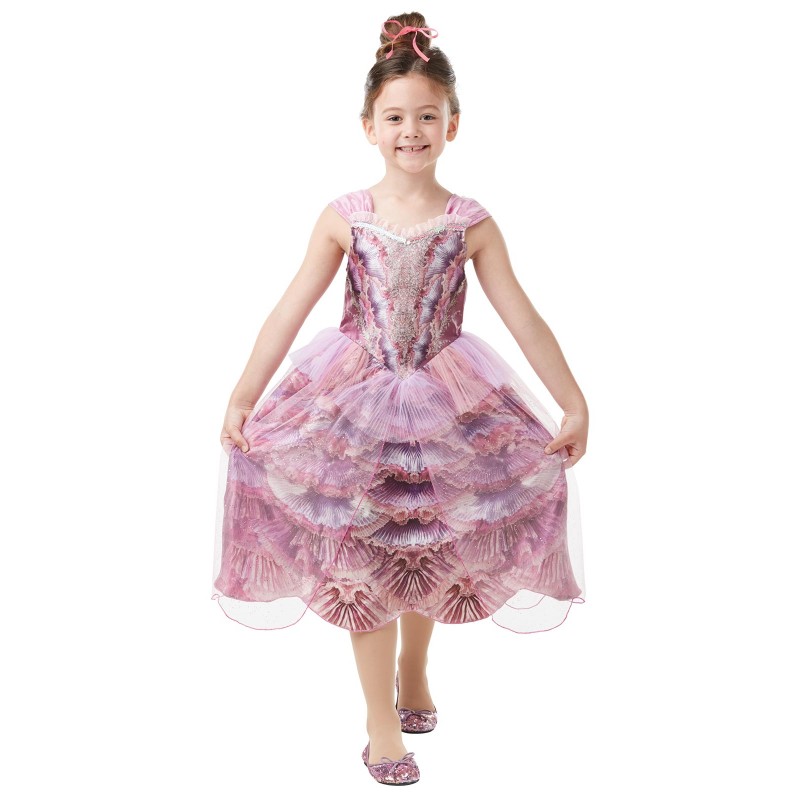 Sugar Plum Fairy From The Child Nutcracker