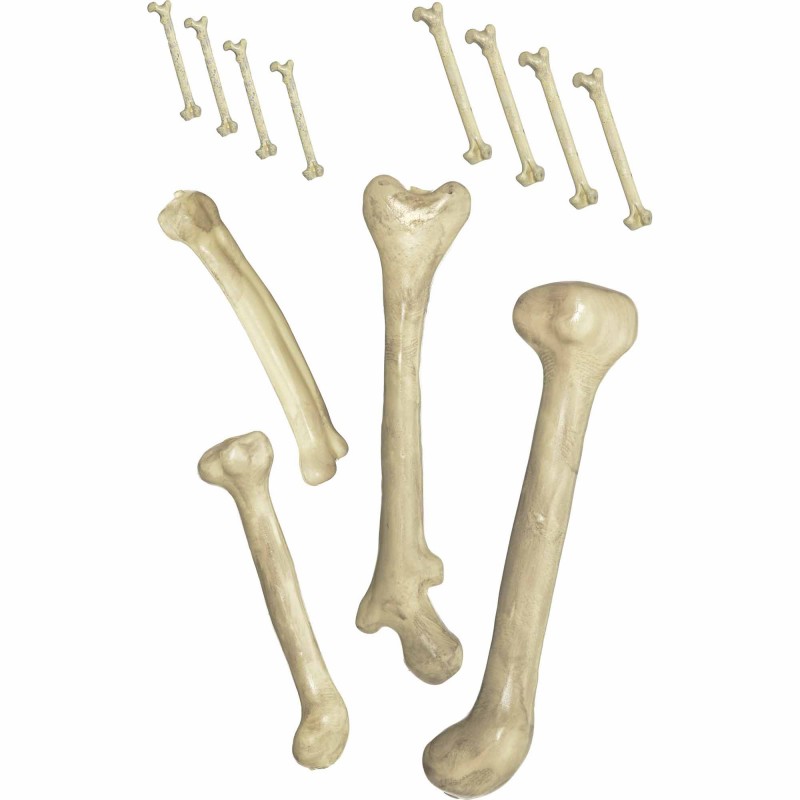 Halloween Bones - NFS Party