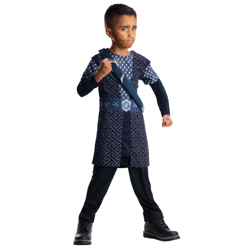 Thorin Lord of the Rings Deluxe Child Costume