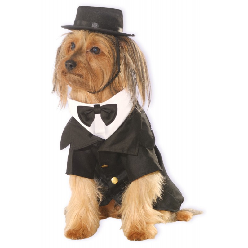 Dapper Dog Pet Costume Halloween