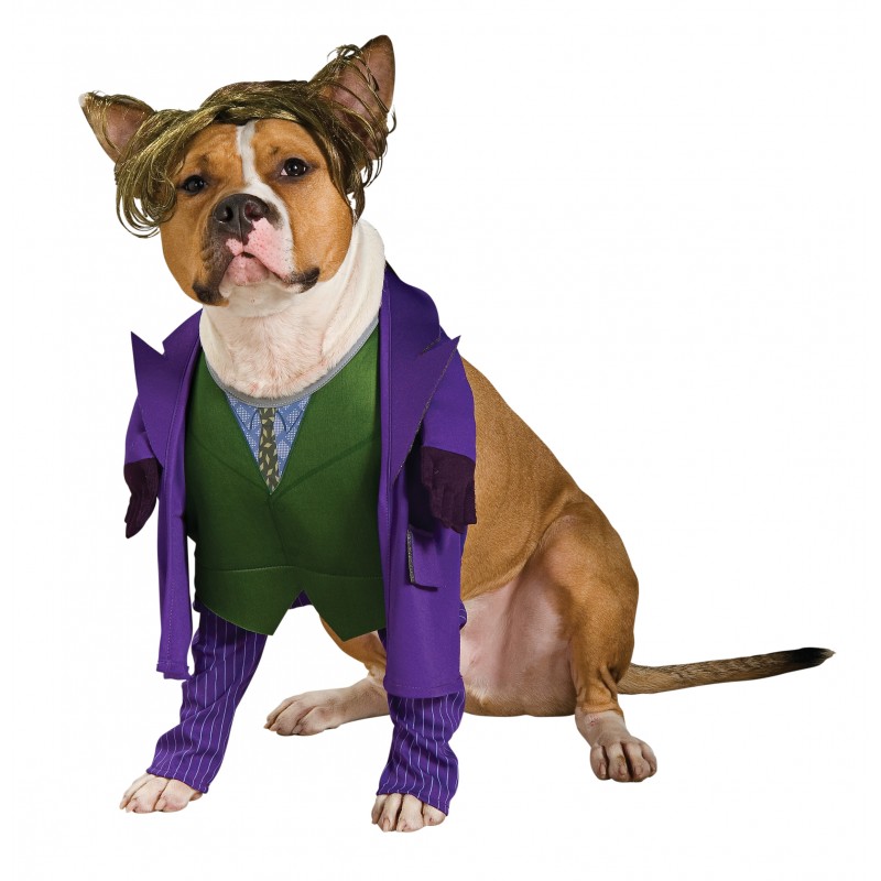 The Joker DC Comics Pet Costume