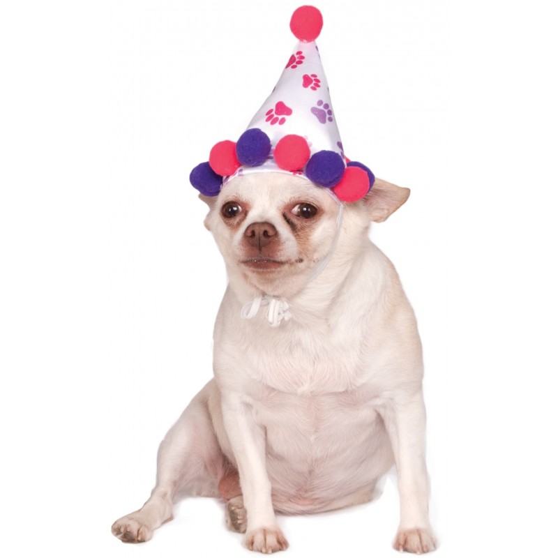 Paw Print Girl Pet Birthday Hat Accessory