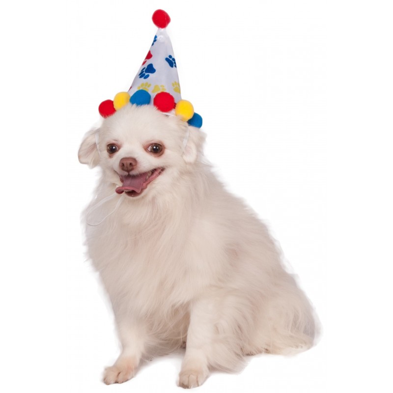 Paw Print Boy Pet Birthday Hat Accessory