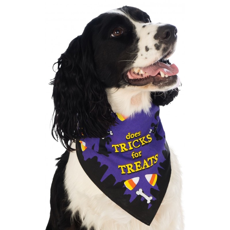 Pet Bandana Does Tricks For Treats Halloween