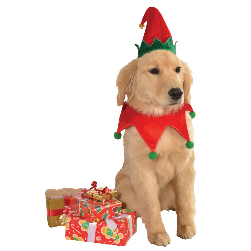 Elf Hat With Bell And Collar Pet Christmas