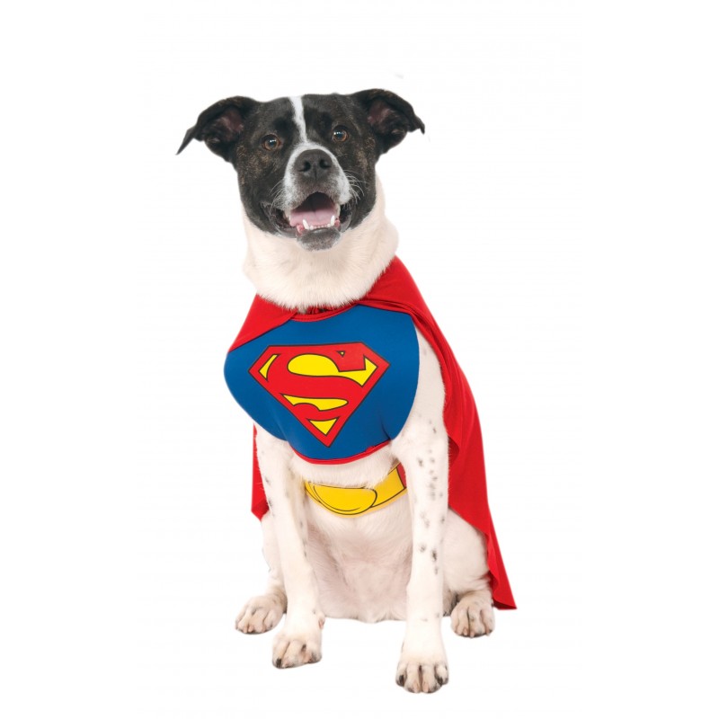 Superman Classic Pet Costume