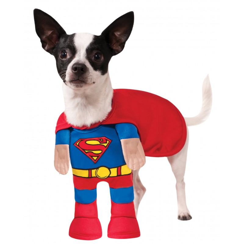 Superman Pet Costume