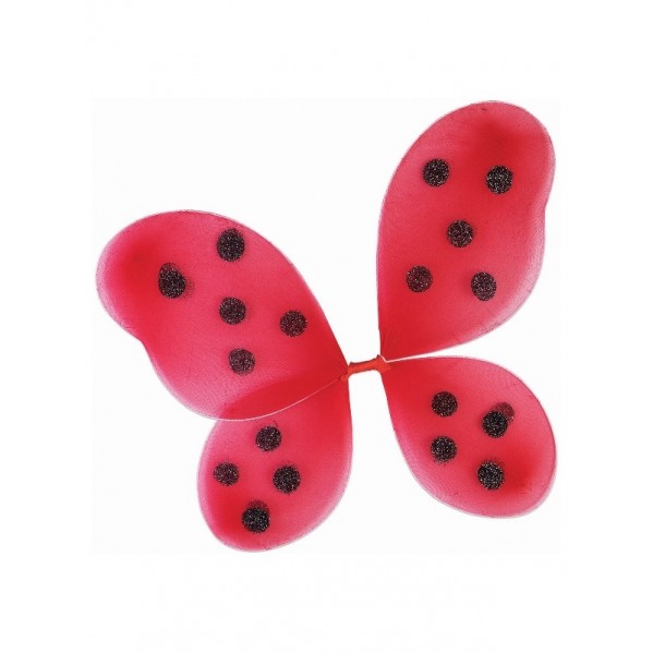 Ladybug Wings Set for Child Animals