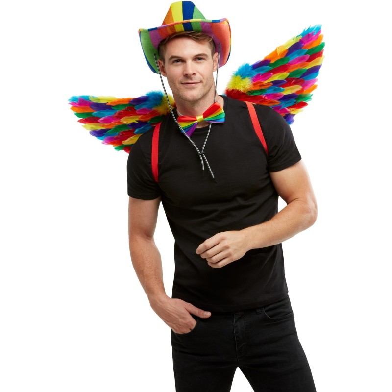 Rainbow Feather Wings for Adult