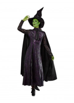 Wicked - Elphaba Adult Costume Wizard of Oz