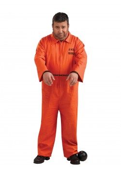 Prisoner Plus Sized Adult Costume Careers