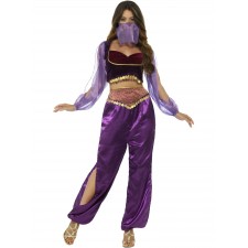 Arabian Princess Costume