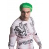 The Joker DC Comics Green Adult Wig - Accessory The Joker DC Comics Green Adult Wig - Accessory