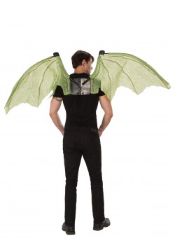 Dragon Wings Mythical