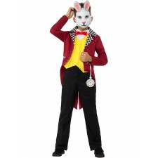 Mr White Rabbit Child Costume