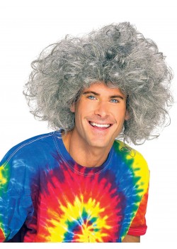 Bad Hair Day Wig for Adult - Einstein