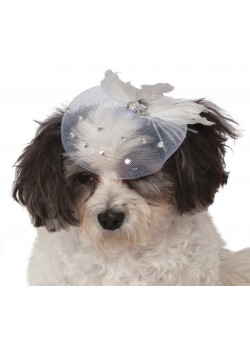 Fancy Formal Hat Pet Halloween