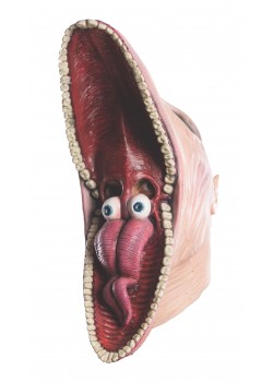 Beetlejuice Barbara Mask for Adult