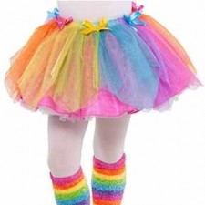 Rainbow Fairy Tutu Girl's Costume Child Size