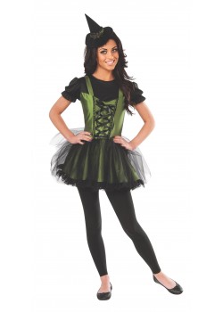 Wicked Witch Of The West Wizard of Oz Deluxe Adult