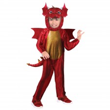 Dragon Boy's Costume 4-6 Years