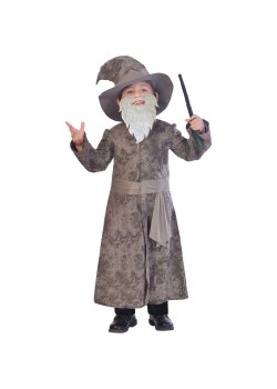 Wise Wizard Boy's Costume 7-8 Years