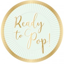 Ready to Pop! Round Dinner Plates 23cm 8 pk