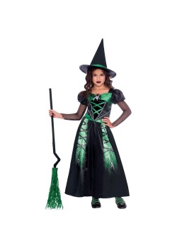 Spider Witch Girl's Costume 4-6 Years