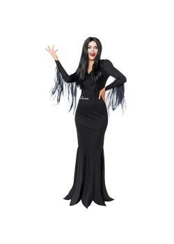Morticia The Addams Family Women's Costume Size 8-10