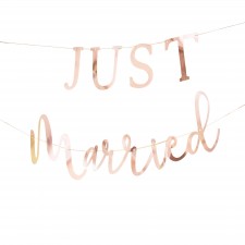 Rose Gold Botanical Wedding Just Married Banner 1.5m