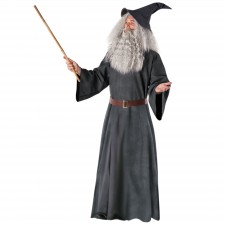 Wizardess Men's Costumes Large