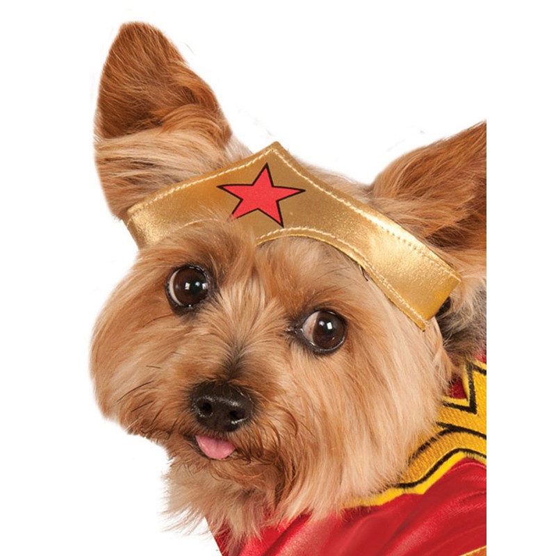 Buckle Down Wonder Woman Hundeleine - 4 Fuß (ca. 1,2 M) Lang, 1,5 Zoll Breit, Aus Robustem Polyester