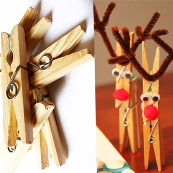 Reindeer