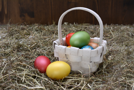 Affordable Easter Basket Ideas for Kids