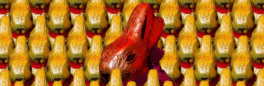 bunny chocolate