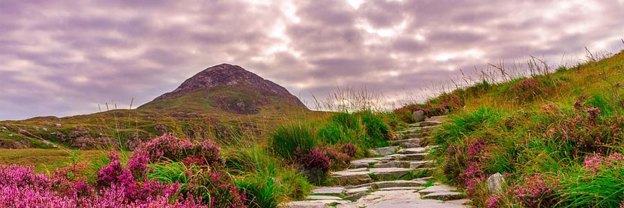 Ireland nationalpark