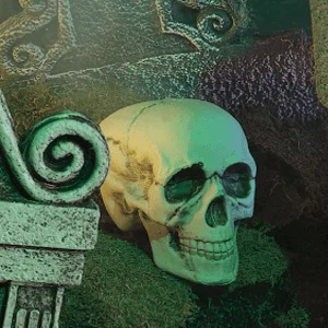 Skull Decor